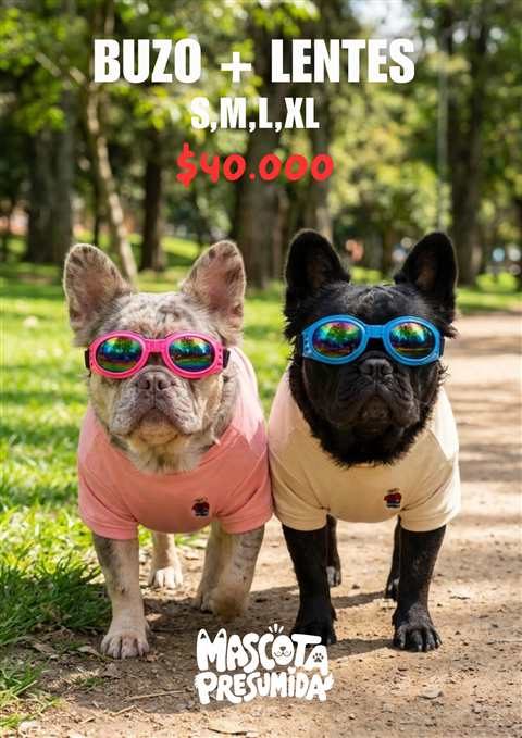Buzo + Lentes