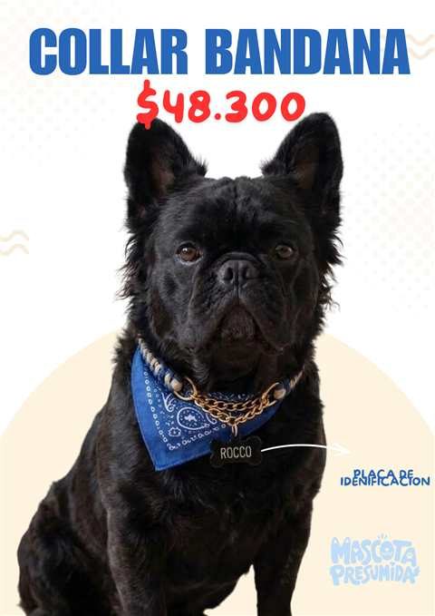 Collar de paracord para perro con bandana a juego