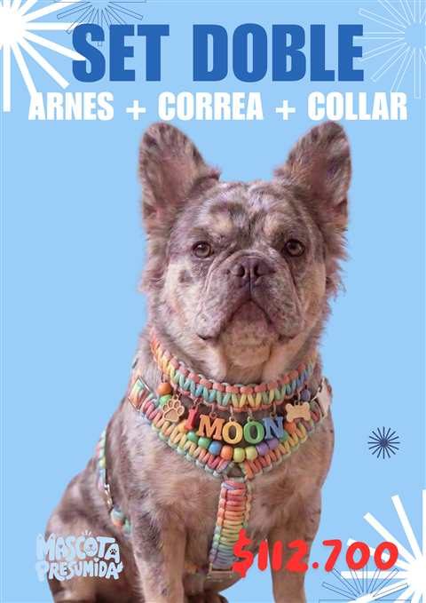 Collar de paracord trenzado para perro con placa grabada
